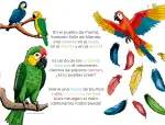 Pág 16