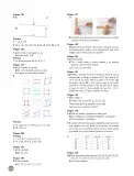 Miniatura página 187 de Sumo Primero – Quinto Básico | Texto del Estudiante MINEDUC – Descargar PDF · 2024
