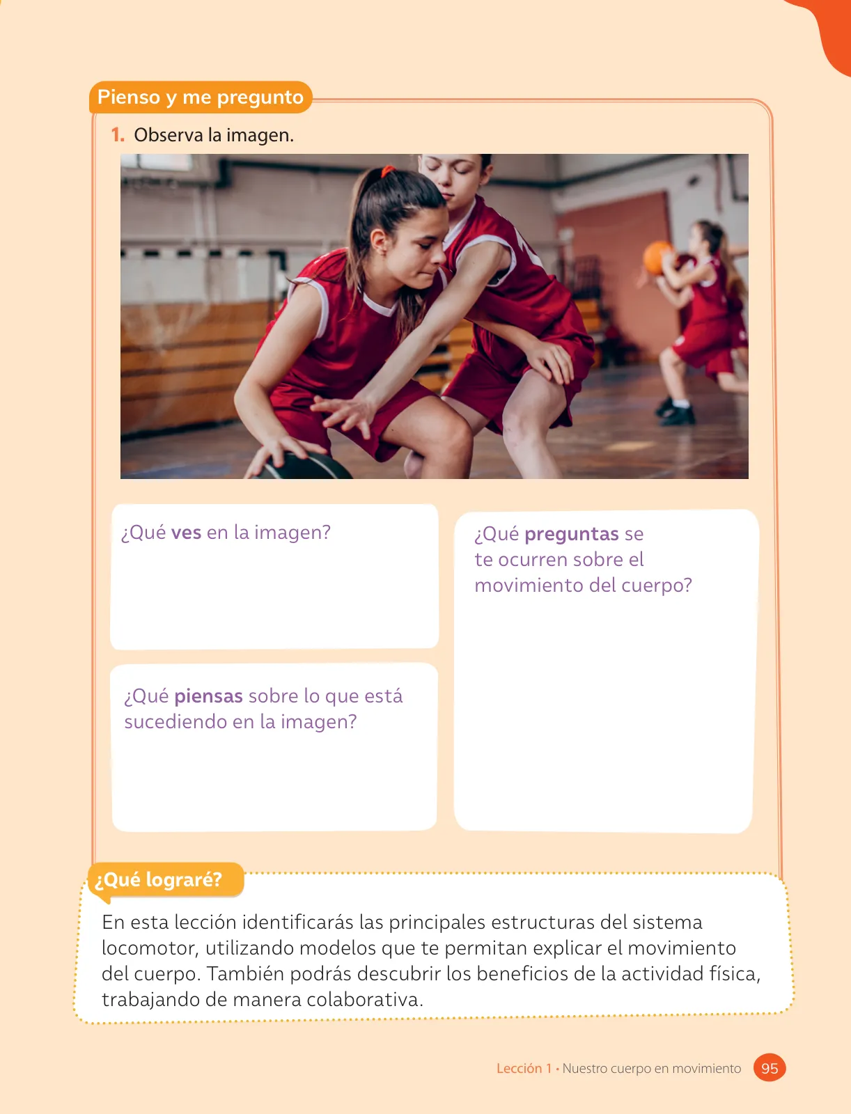 Página 97 de Ciencias Naturales – Cuarto Básico | Texto del Estudiante MINEDUC – Descargar PDF · 2024