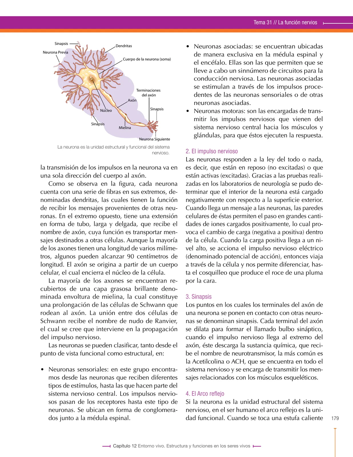 Miniatura página 179 de Ciencias Naturales 8° · Secundaria Activa