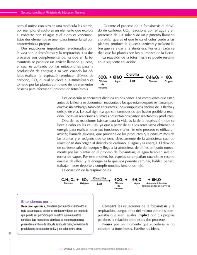 Página 46 de Ciencias Naturales 8° · Secundaria Activa