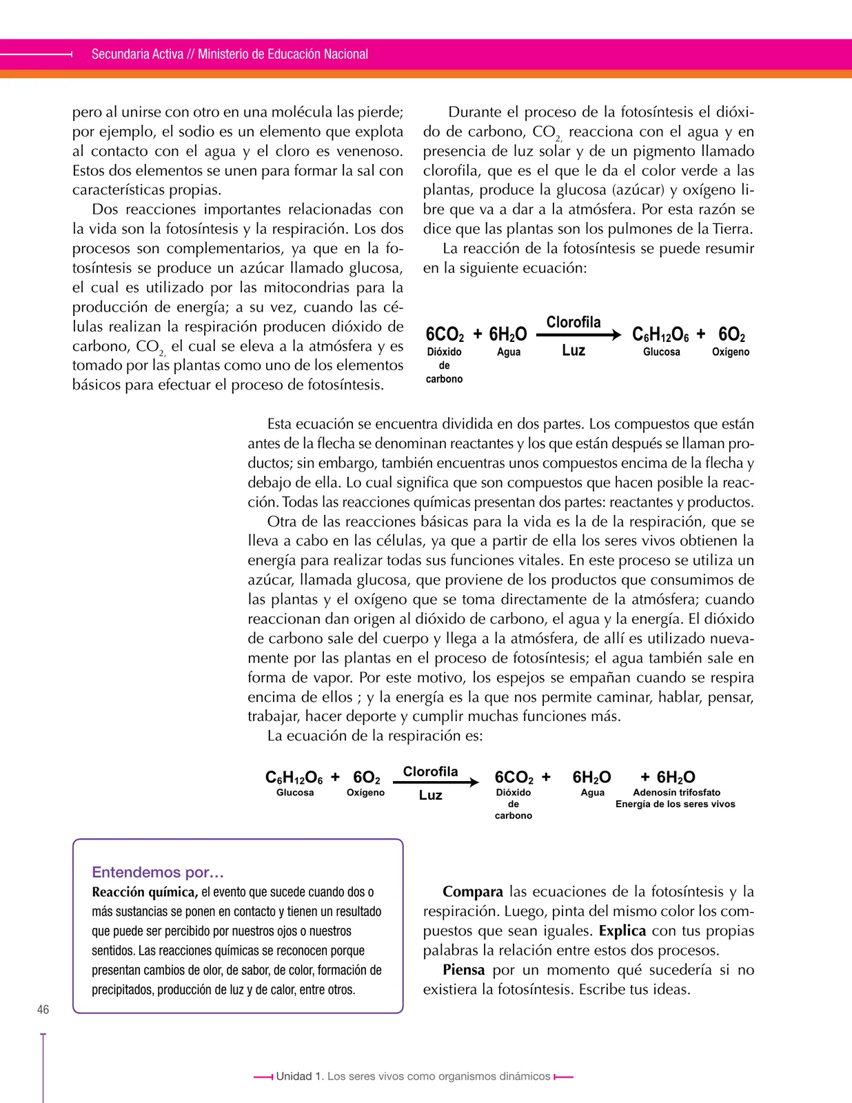 Miniatura página 46 de Ciencias Naturales 8° · Secundaria Activa