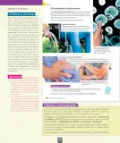 Miniatura página 51 de Ciencias Naturales – Séptimo Básico | Texto del Estudiante MINEDUC – Descargar PDF · 2024