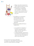 Miniatura página 155 de Proyectos Comunitarios.   Libro de Educación Primaria Grado 2°  Ciclo Escolar 2025 - 2026