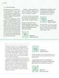 Miniatura página 179 de Nuestros saberes: Libro para alumnos, maestros y familia.   Libro de Educación Primaria Grado 5°  Ciclo Escolar 2025 - 2026