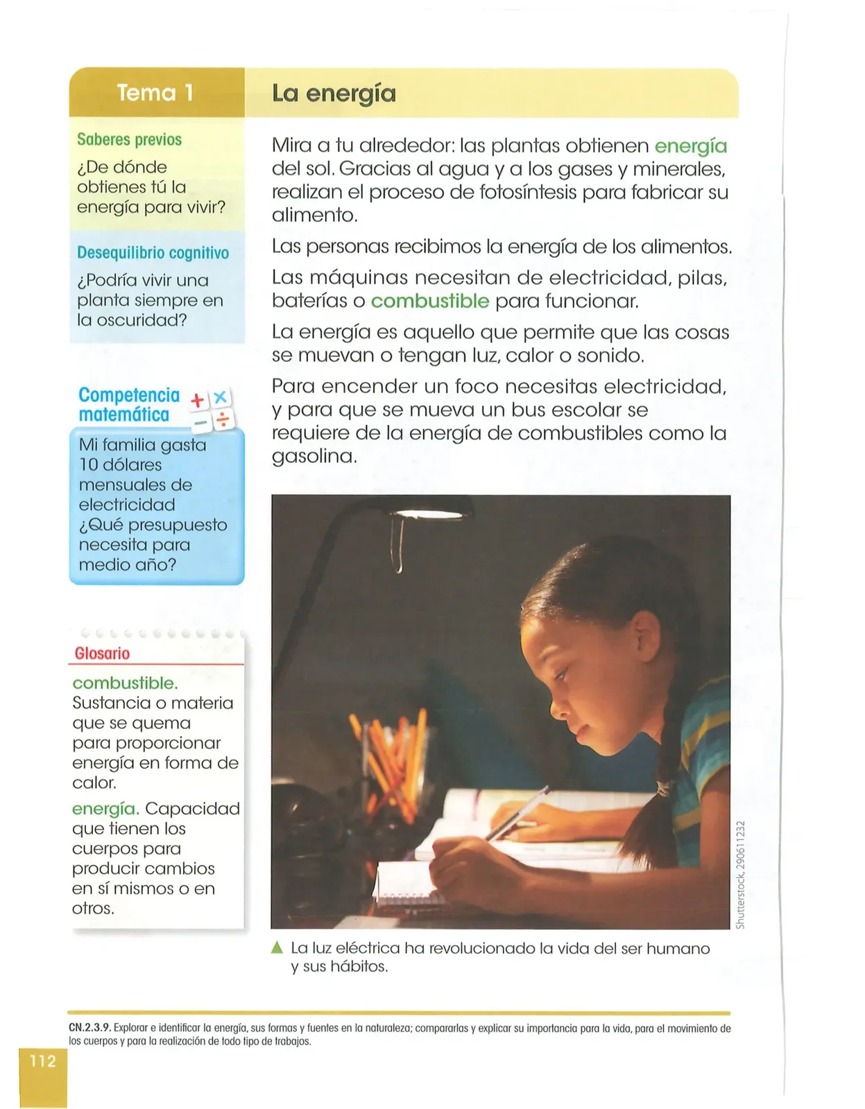 Página 113