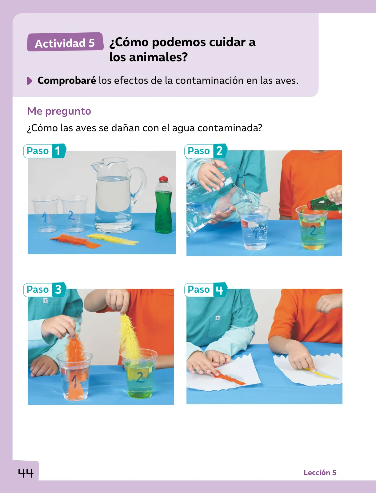 Página 45 de Ciencias Naturales – Primero Básico | Texto del Estudiante (MINEDUC) – Descargar PDF · 2024