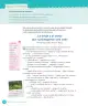 Miniatura página 96 de Lenguaje y Comunicación – Cuarto Básico | Texto del Estudiante MINEDUC – Descargar PDF · 2024