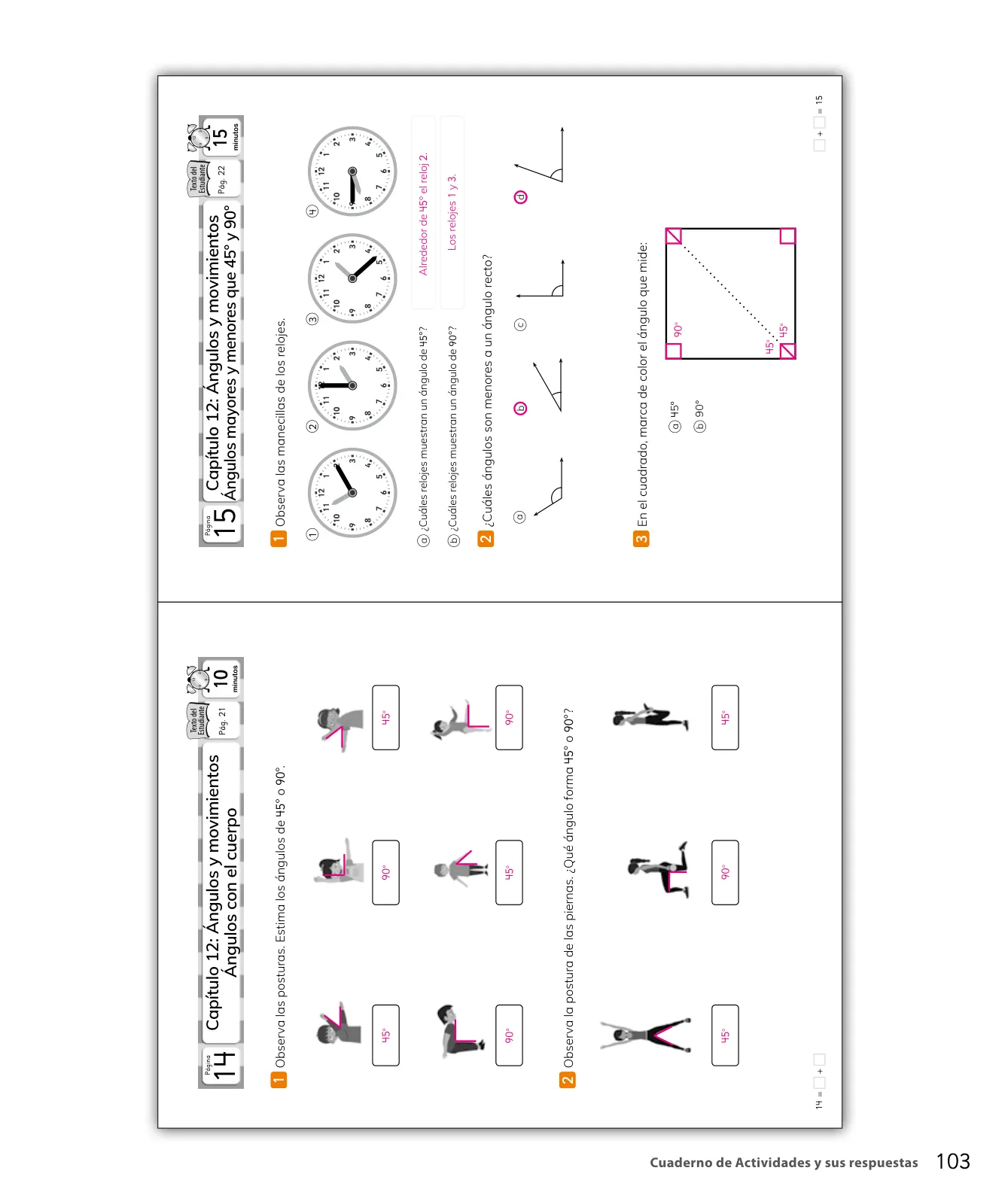 Miniatura página 105 de Sumo Primero – Tercero Básico | Texto del Estudiante MINEDUC – Descargar PDF · 2024