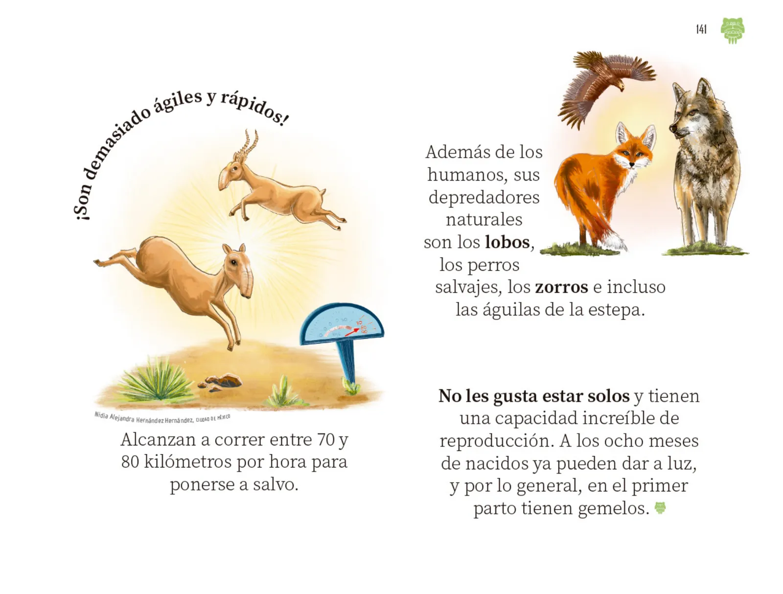 Miniatura página 142 de Múltiples lenguajes.   Libro de Educación Preescolar Grado 2°  Ciclo Escolar 2025 - 2026