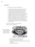 Miniatura página 77 de Proyectos Escolares.   Libro de Educación Primaria Grado 6°  Ciclo Escolar 2025 - 2026