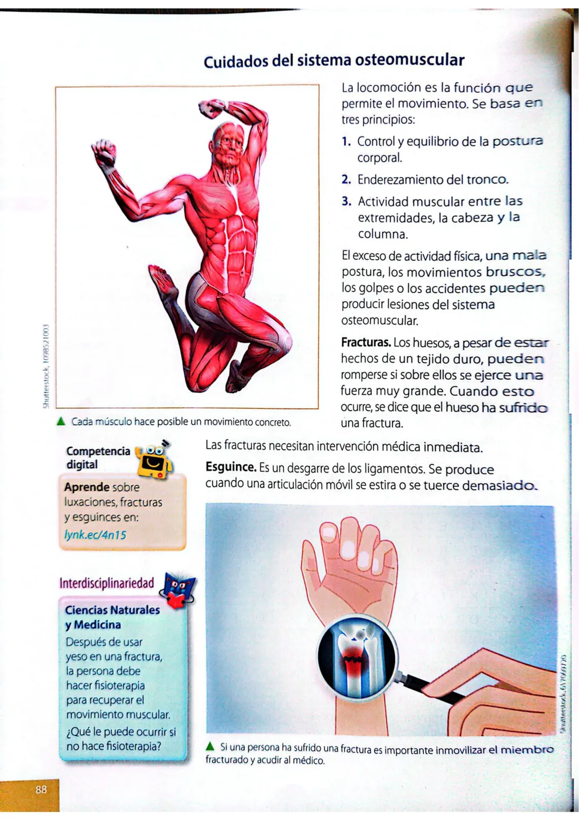 Página 85