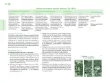 Miniatura página 51 de Posibilidades de trabajo para la acción transformadora y el codiseño. Ficheros. Fase 2  Libro de Educación Preescolar Grado 1°, 2°, 3°  Ciclo Escolar 2025 - 2026