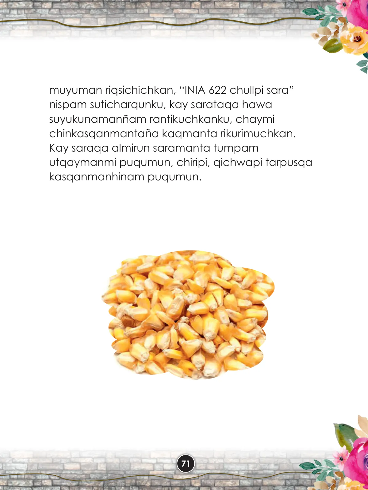 Página 73 de Llaqtanchikpa kawsayninkuna - Chanka. Saberes de los pueblos 1 - 1° Secundaria - Quechua chanka · 2023