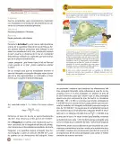 Miniatura página 120 de Sumo Primero – Quinto Básico | Texto del Estudiante MINEDUC – Descargar PDF · 2024