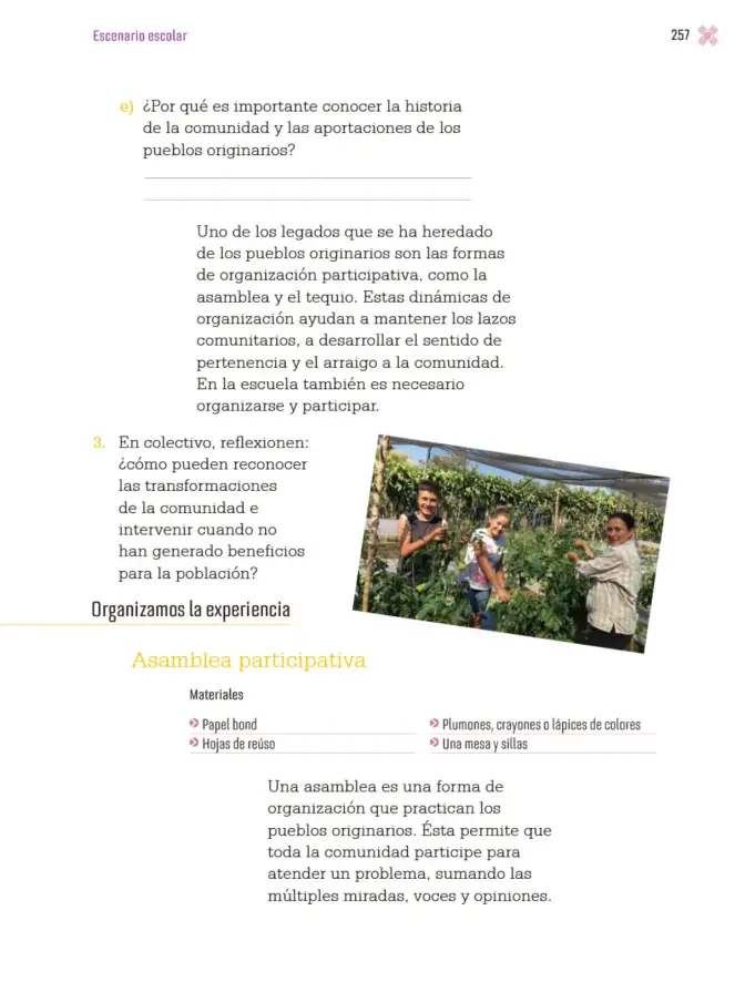 Página 260 de Proyectos Escolares. Libro de Educación Primaria Grado 3° Ciclo Escolar 2025 - 2026