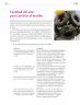 Miniatura página 250 de Colección Nanahuatzin. Lenguajes.   Libro de Educación Secundaria Grado 3°  Ciclo Escolar 2025 - 2026