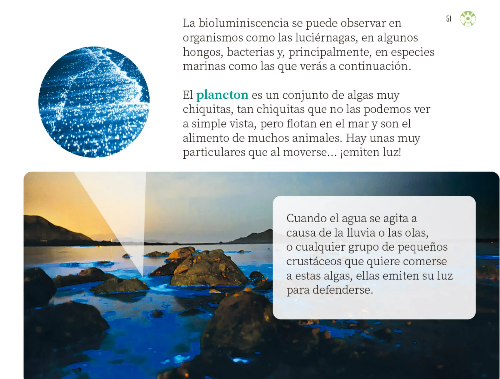 Miniatura página 52 de Múltiples lenguajes.   Libro de Educación Preescolar Grado 3°  Ciclo Escolar 2025 - 2026