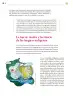Miniatura página 141 de Colección Ximhai. Lenguajes.   Libro de Educación Secundaria Grado 1°  Ciclo Escolar 2025 - 2026