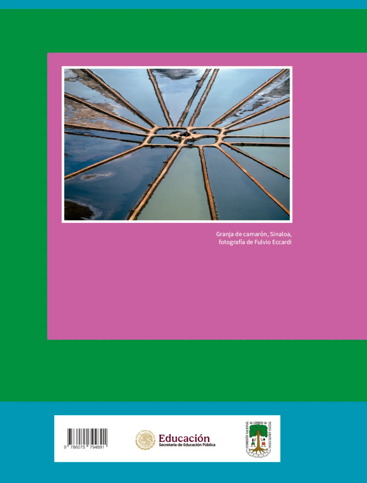 Página 307 de Colección Ximhai. Nuestro libro de Proyectos. Tomo I. Libro de Educación Telesecundaria Grado 1° Ciclo Escolar 2025 - 2026