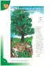 Miniatura página 10 de Ciencias Naturales 3° · Cartilla 01