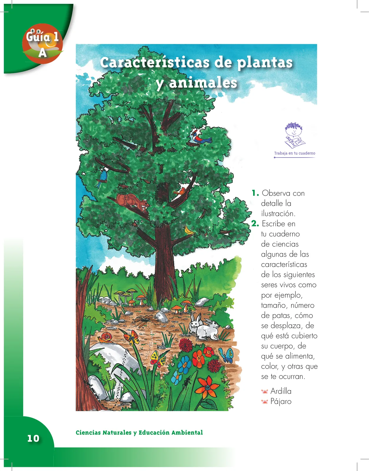Miniatura página 10 de Ciencias Naturales 3° · Cartilla 01
