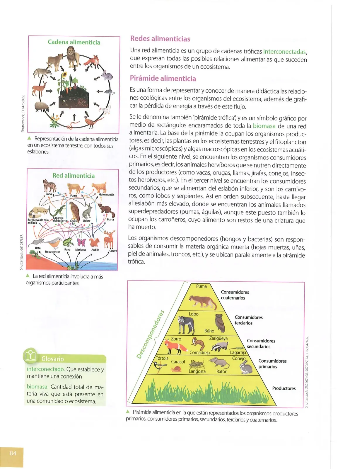 Pág 83