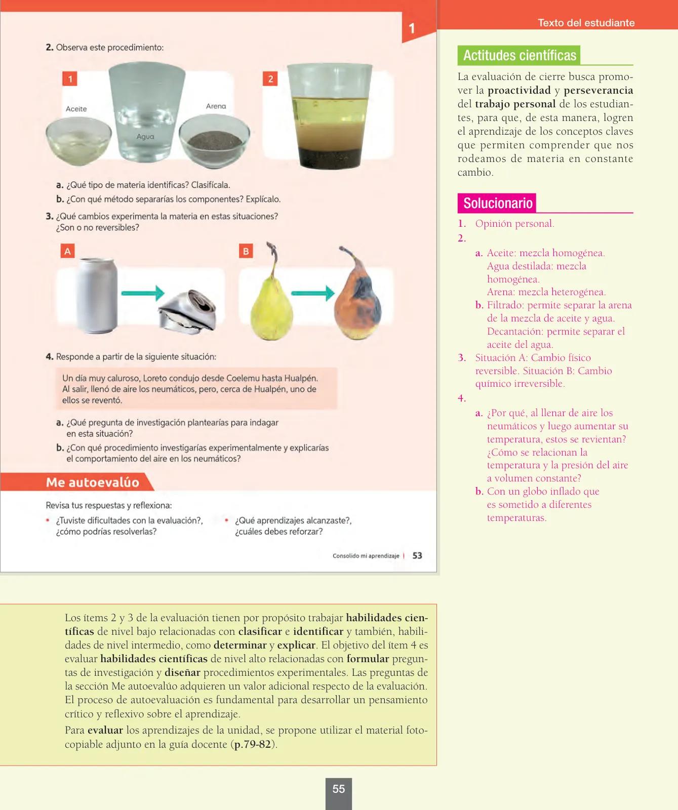 Página 56 de Ciencias Naturales – Séptimo Básico | Texto del Estudiante MINEDUC – Descargar PDF · 2024