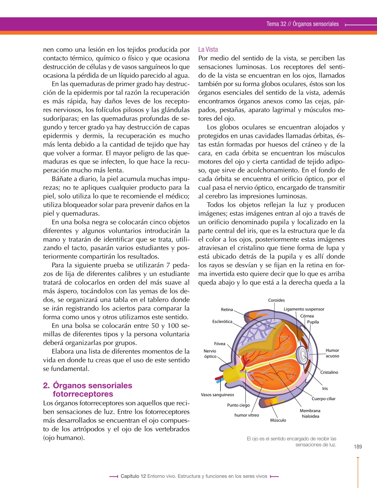 Página 189 de Ciencias Naturales 8° · Secundaria Activa