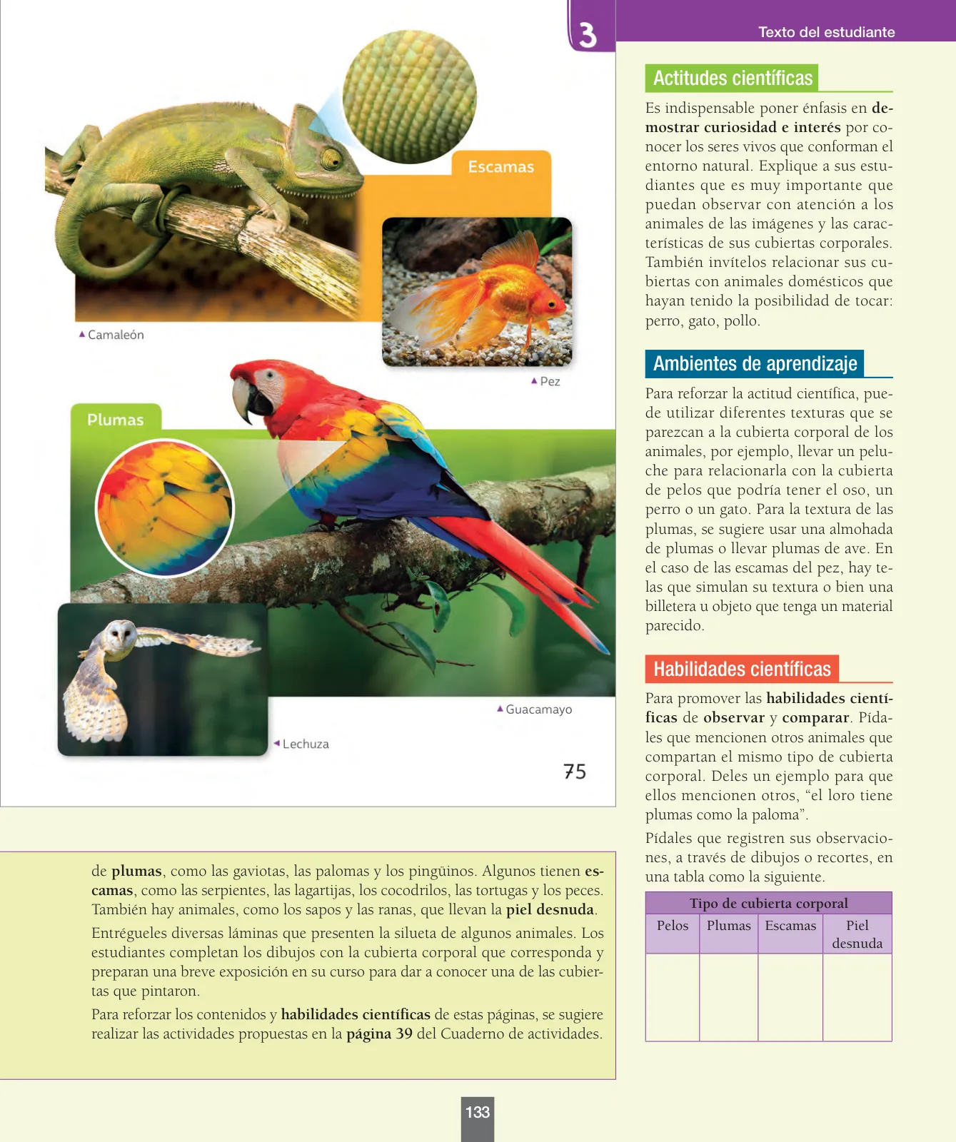 Miniatura página 134 de Ciencias Naturales – Primero Básico | Texto del Estudiante (MINEDUC) – Descargar PDF · 2024