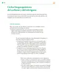 Miniatura página 209 de Colección Ximhai. Saberes y pensamiento científico.   Libro de Educación Telesecundaria Grado 1°  Ciclo Escolar 2025 - 2026