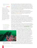 Miniatura página 122 de Lengua y Literatura – Octavo Básico | Texto del Estudiante MINEDUC – Descargar PDF · 2024