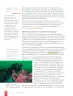 Miniatura página 122 de Lengua y Literatura – Octavo Básico | Texto del Estudiante MINEDUC – Descargar PDF · 2024