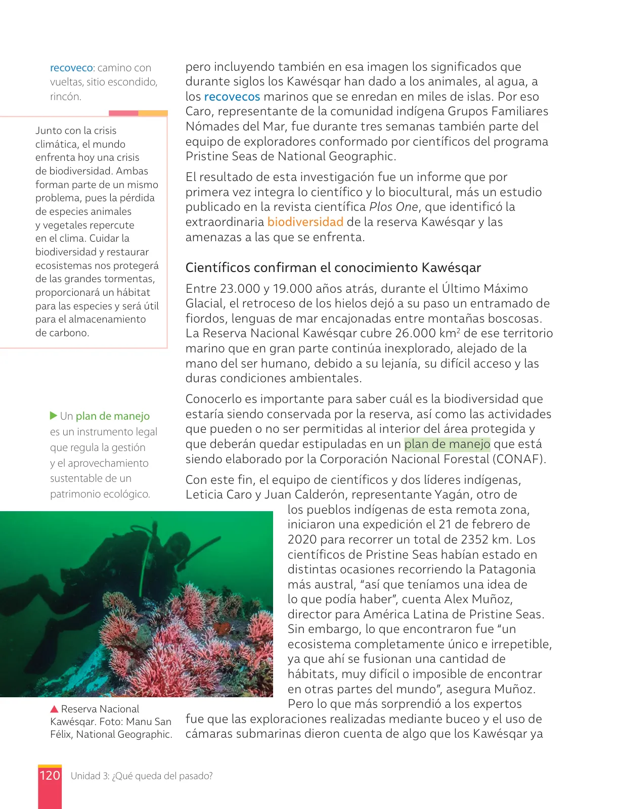 Miniatura página 122 de Lengua y Literatura – Octavo Básico | Texto del Estudiante MINEDUC – Descargar PDF · 2024