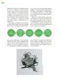 Miniatura página 137 de Crianza para la libertad. Libro para las familias. Fase 2  Libro de Educación Preescolar Grado 1°, 2°, 3°  Ciclo Escolar 2025 - 2026