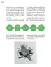 Miniatura página 137 de Crianza para la libertad. Libro para las familias. Fase 2  Libro de Educación Preescolar Grado 1°, 2°, 3°  Ciclo Escolar 2025 - 2026
