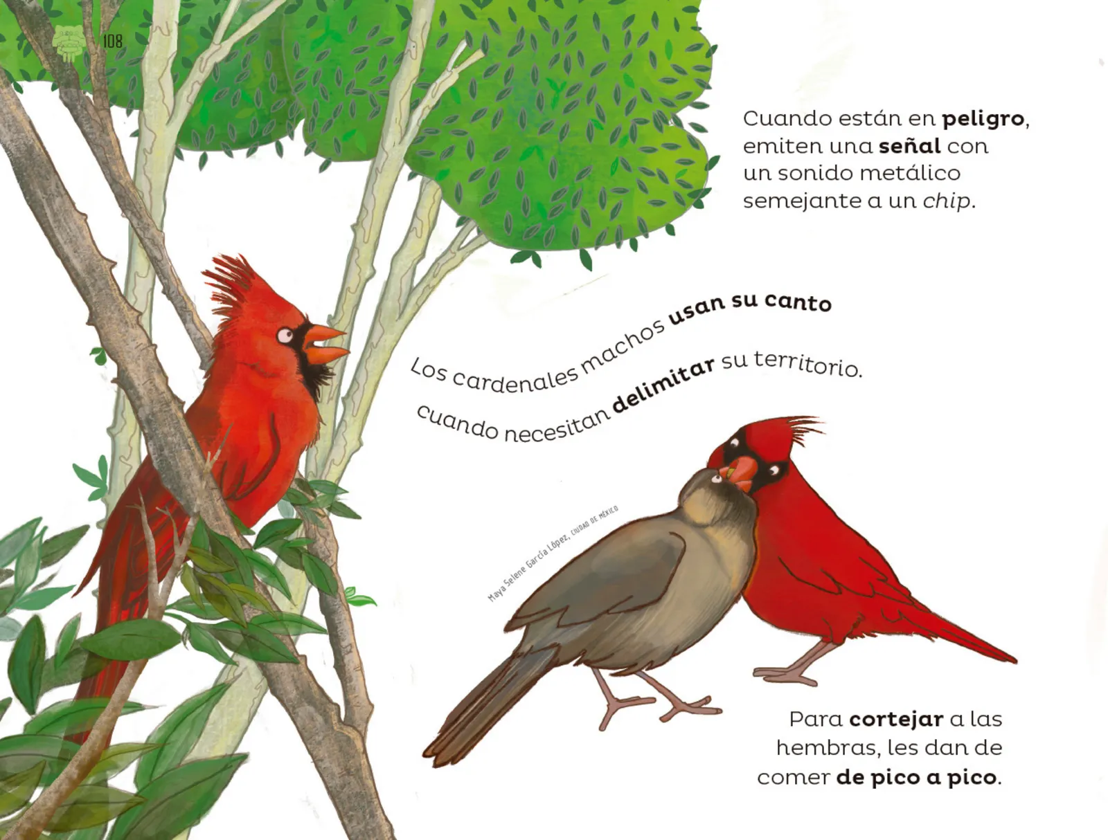 Página 109 de Múltiples lenguajes. Libro de Educación Preescolar Grado 2° Ciclo Escolar 2025 - 2026