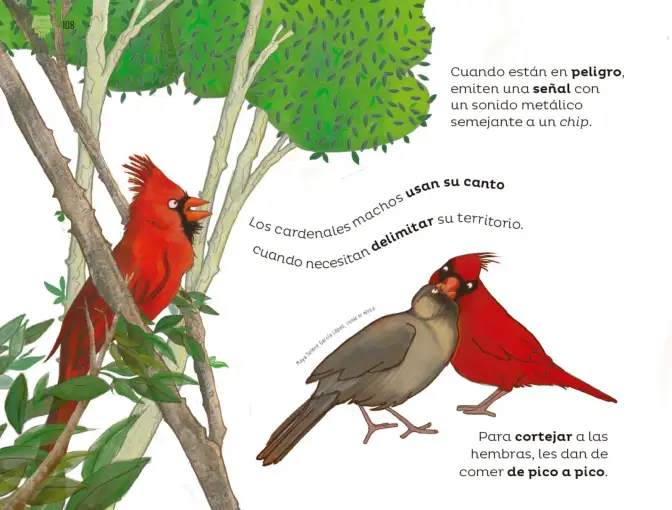 Página 109 de Múltiples lenguajes. Libro de Educación Preescolar Grado 2° Ciclo Escolar 2025 - 2026