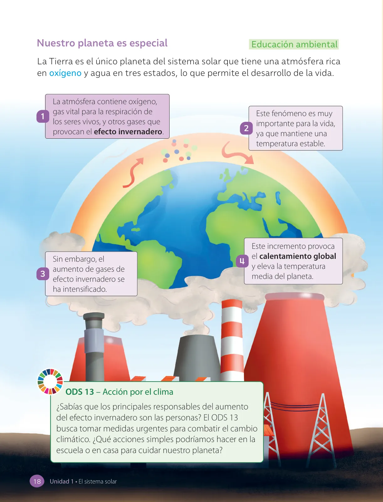 Página 20 de Ciencias Naturales – Tercero Básico | Texto del Estudiante MINEDUC – Descargar PDF · 2024