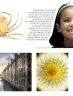 Miniatura página 130 de Múltiples lenguajes.   Libro de Educación Primaria Grado 2°  Ciclo Escolar 2025 - 2026