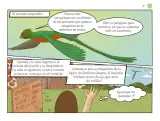 Miniatura página 48 de Múltiples lenguajes.   Libro de Educación Preescolar Grado 2°  Ciclo Escolar 2025 - 2026