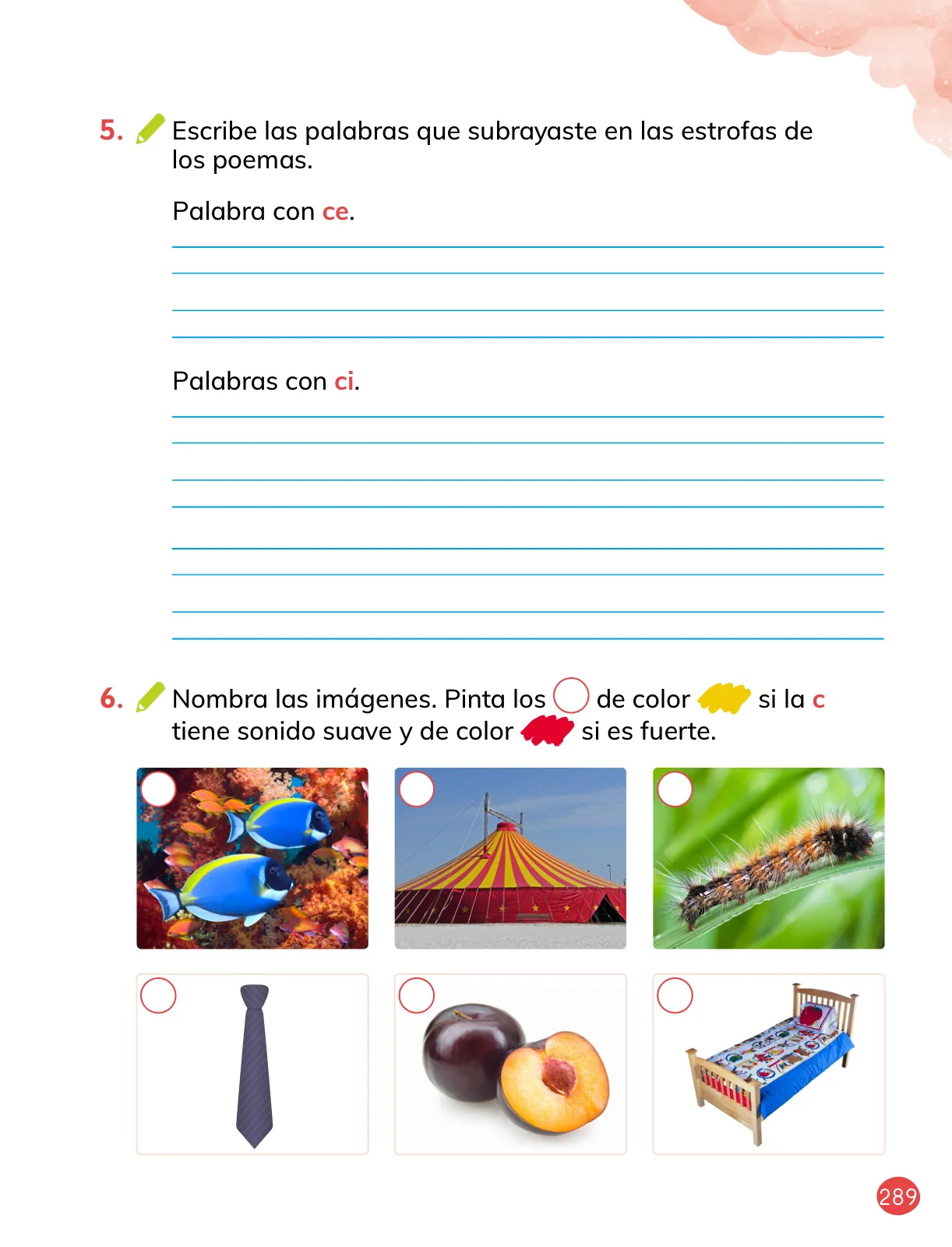 Miniatura página 19 de Lenguaje y Comunicación – Primero Básico | Texto del Estudiante MINEDUC – Descargar PDF · 2024