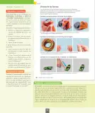 Miniatura página 93 de Ciencias Naturales – Séptimo Básico | Texto del Estudiante MINEDUC – Descargar PDF · 2024