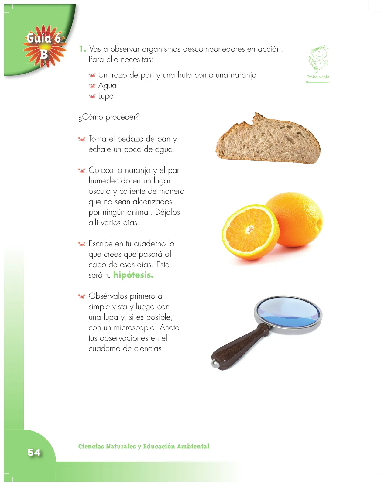 Página 54 de Ciencias Naturales 3° · Cartilla 01