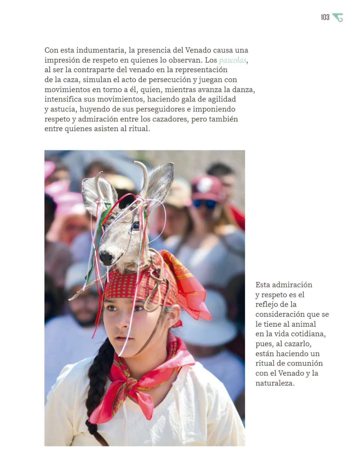 Página 104 de Múltiples lenguajes.   Libro de Educación Primaria Grado 6°  Ciclo Escolar 2025 - 2026