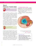 Miniatura página 28 de Ciencias Naturales 6° · Secundaria Activa