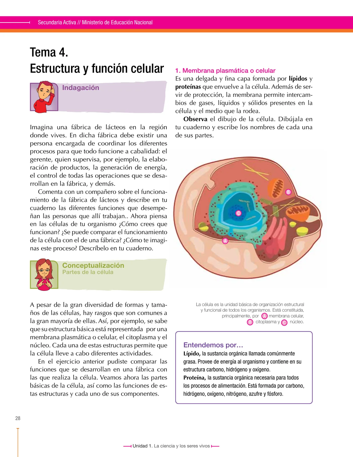 Miniatura página 28 de Ciencias Naturales 6° · Secundaria Activa