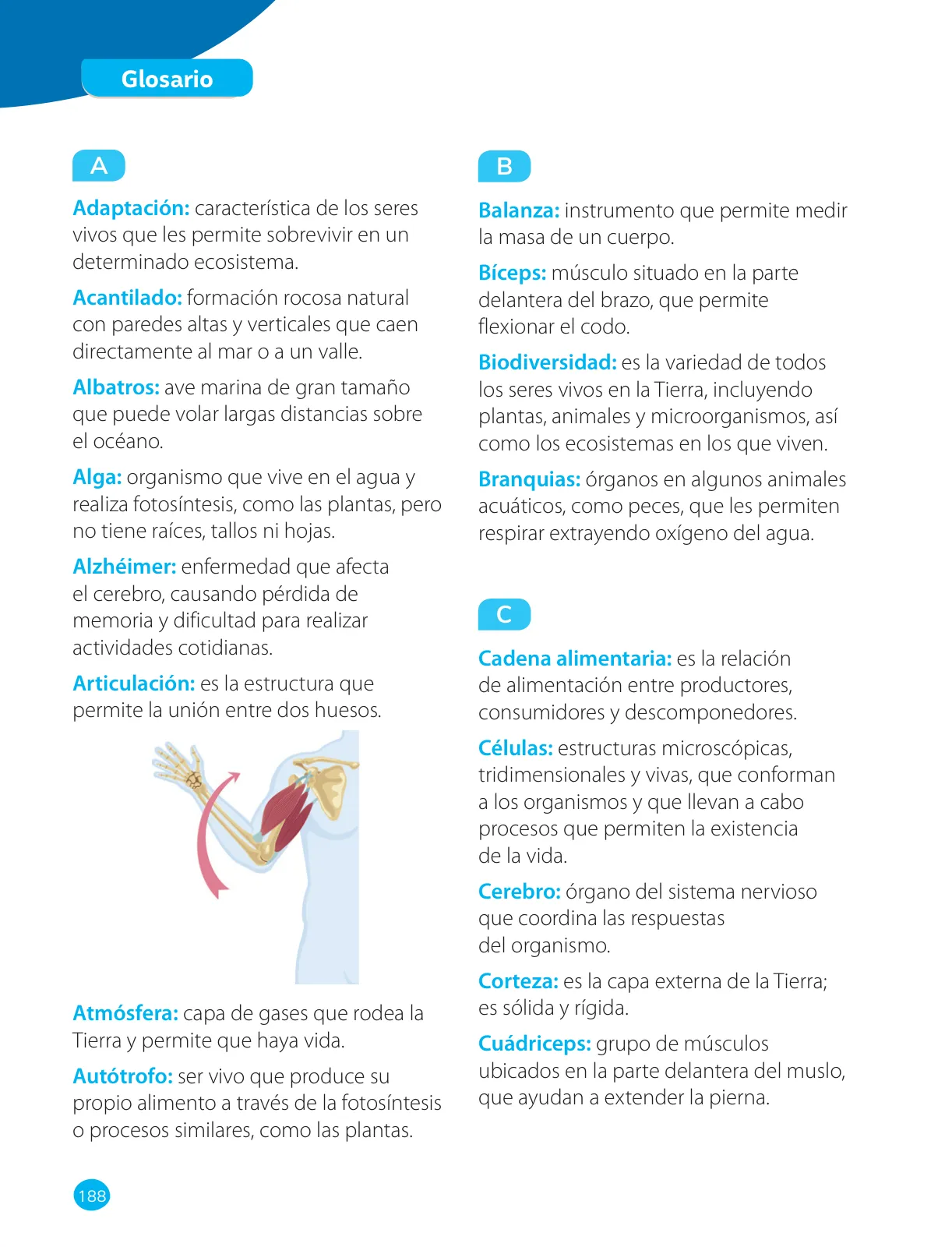 Página 190 de Ciencias Naturales – Cuarto Básico | Texto del Estudiante MINEDUC – Descargar PDF · 2024