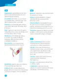 Miniatura página 190 de Ciencias Naturales – Cuarto Básico | Texto del Estudiante MINEDUC – Descargar PDF · 2024