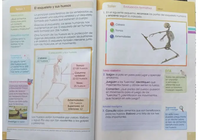 Página 27 de Ciencias Naturales 3° · Egb 3 Ciencias Naturales 2024 · 2024